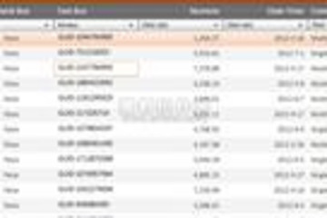 Xceed DataGrid for Silverlight预览：